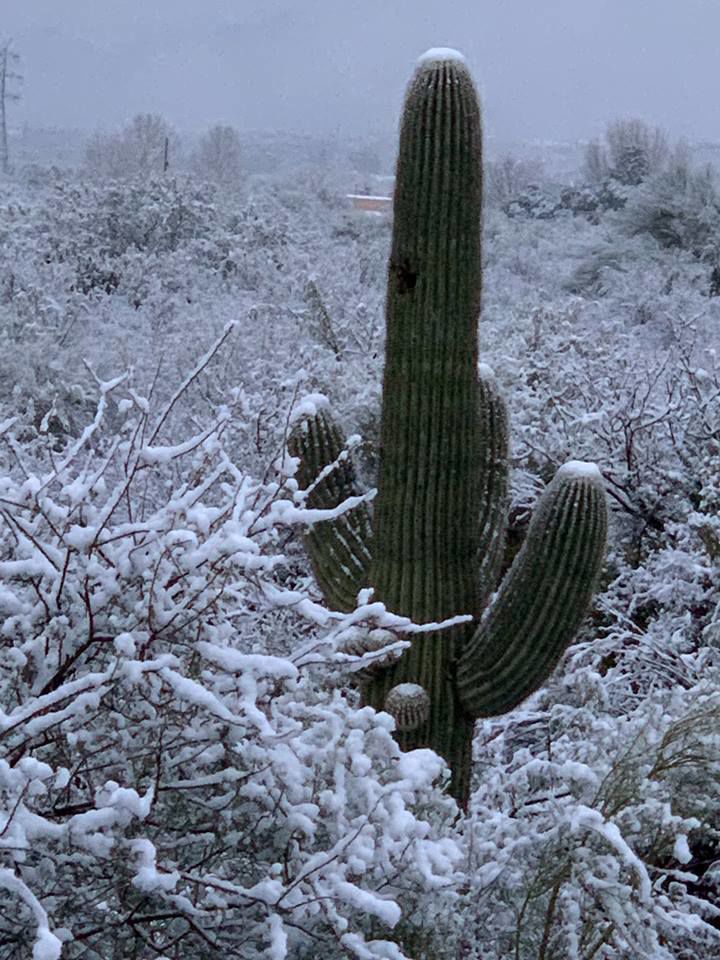 Snow in east ÃÛèÖÖ±²¥